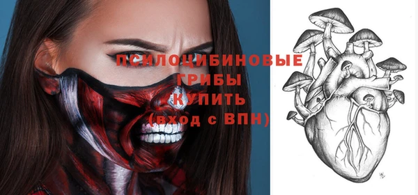 МДПВ Алексеевка