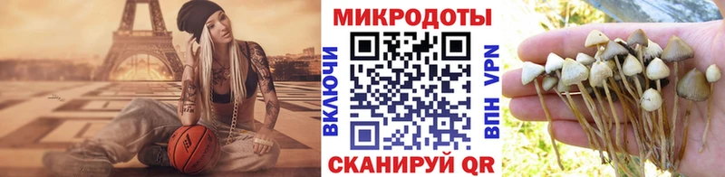 Галлюциногенные грибы Magic Shrooms  кракен ссылки  Боготол 